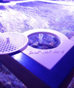 Screen Top Feeding Portal