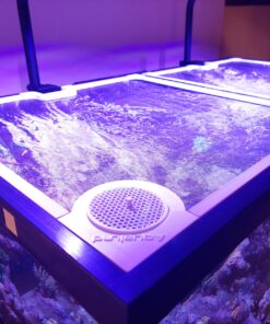 Screen Top Feeding Portal